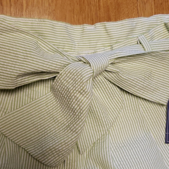 NWT Lauren James green stripe seersucker shorts M - Picture 3 of 5